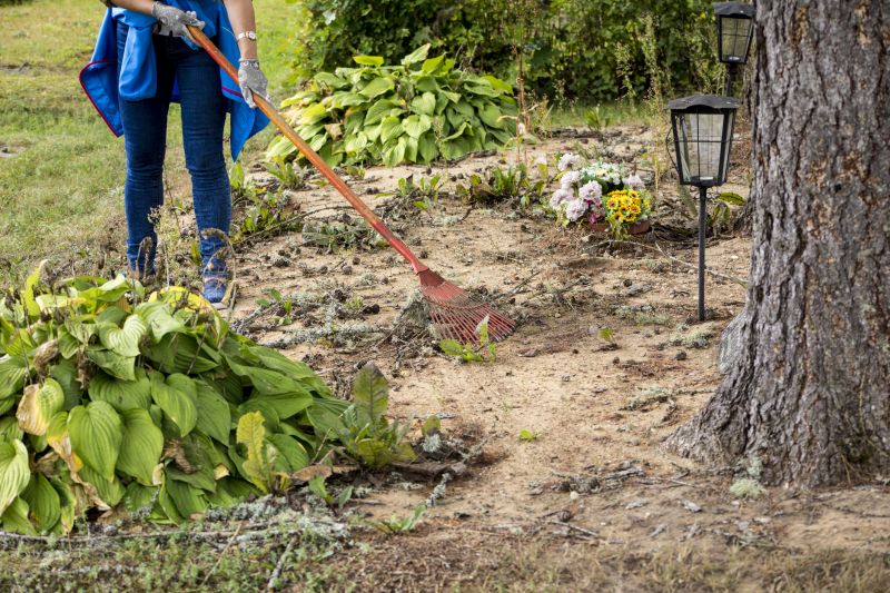 Vegetation Being Removed