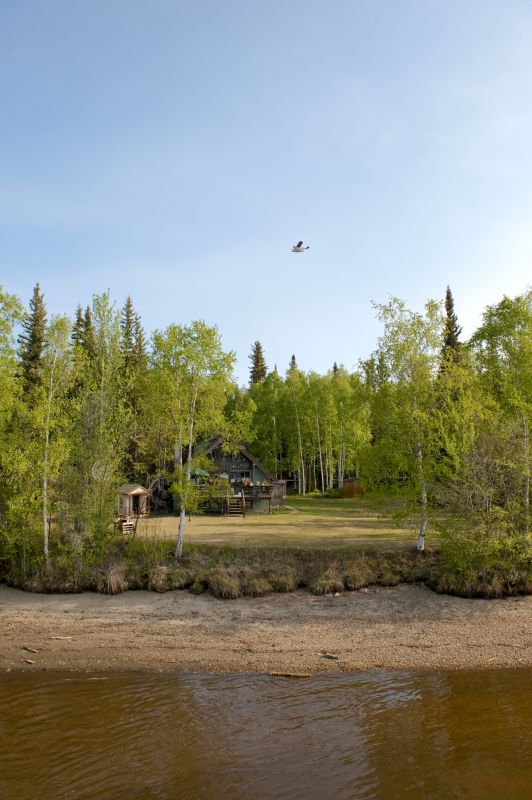 Seasonal Land Clearing Scene