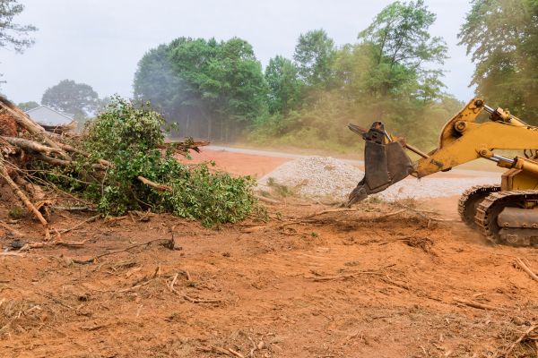Ground Clearing in Bloomington