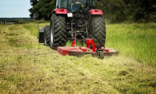 Brush Clearing Service in Bloomington