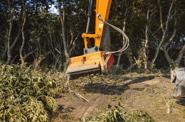 Brush Removal Service in Bloomington