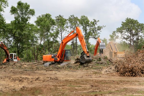 Cost of Commercial Lot Clearing in Bloomington